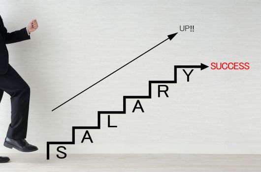 年俸制と月給制の根本的な違い：どちらがあなたに合っているか？