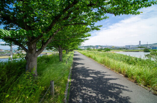 歴史と文化が息づく地域