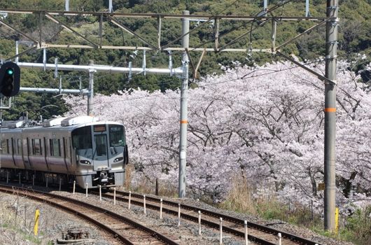 阪南市の地理的特徴