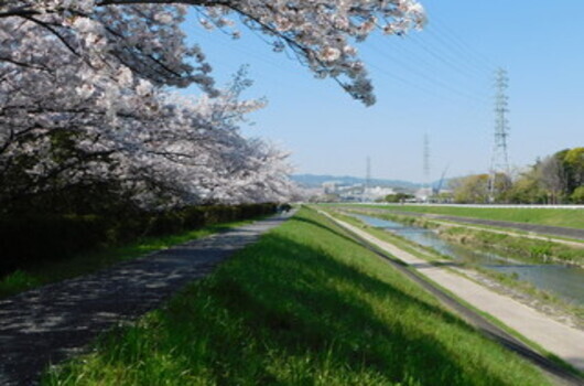 茨木市の地理と町の特徴