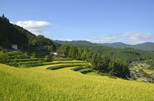 1. 能勢町の地理的特性と特徴