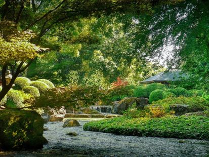 大阪・万博公園自然文化園で季節を感じる