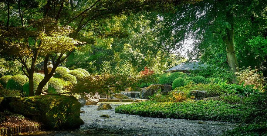 大阪・万博公園自然文化園で季節を感じる