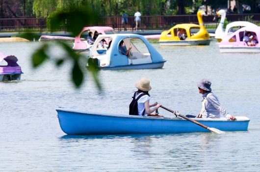 市民の憩いの万博公園