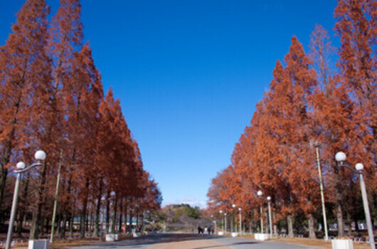 地理的特徴と町の姿