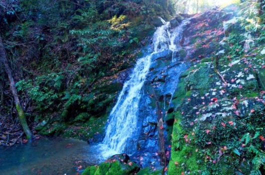 自然の絶景を眺めながらハイキングを楽しめる｢摂津峡公園｣