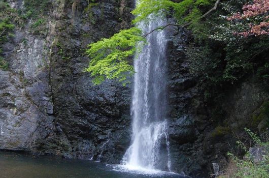 棚田から見下ろせる絶景がおすすめの「長谷の棚田」